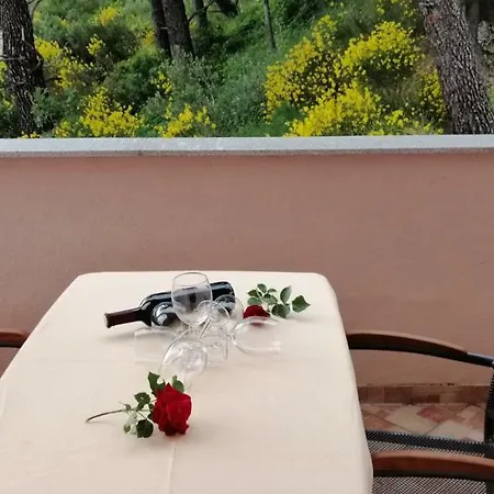 Sara * Makarska